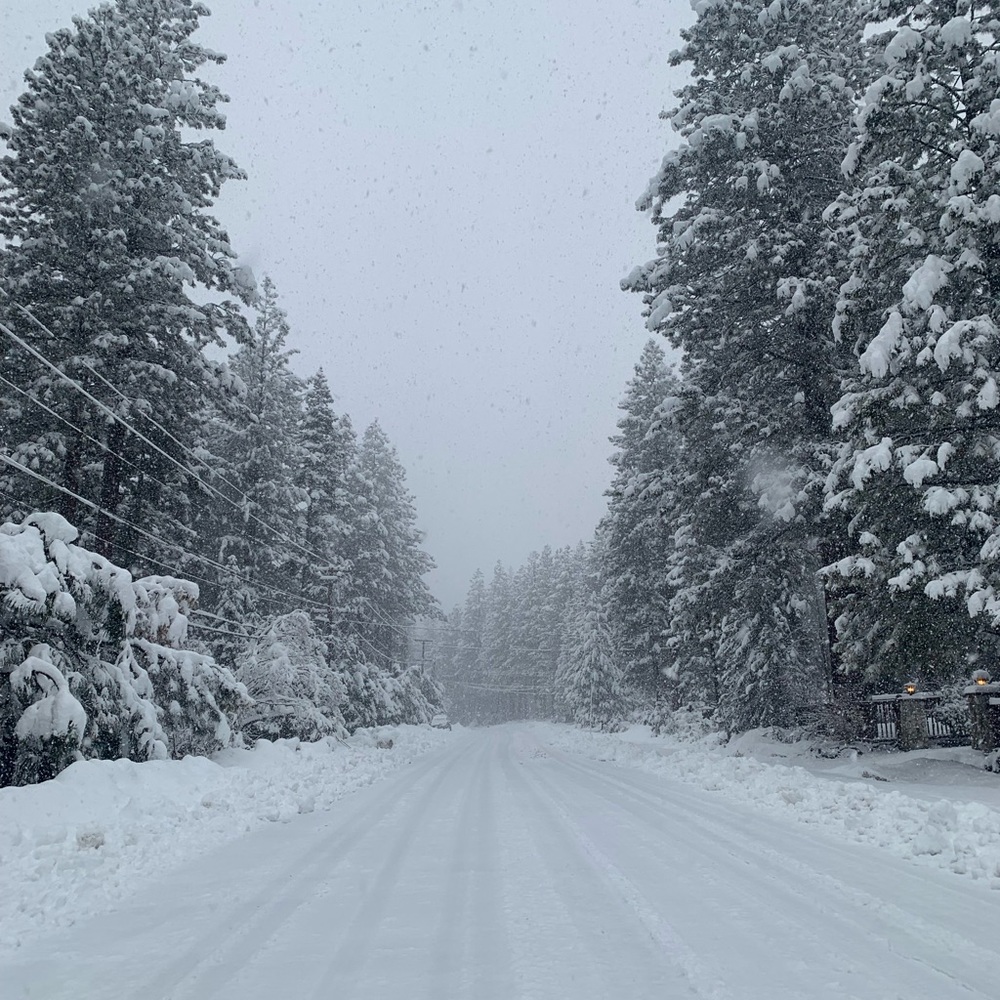 Meet your Posher, Nelly